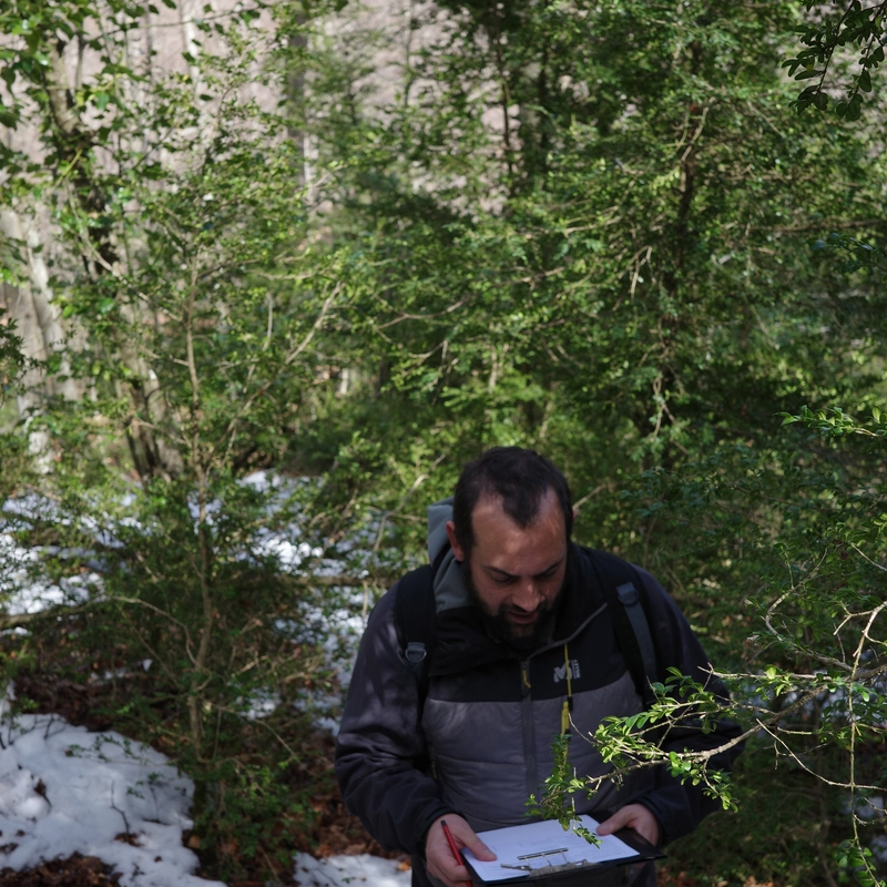 Site selection